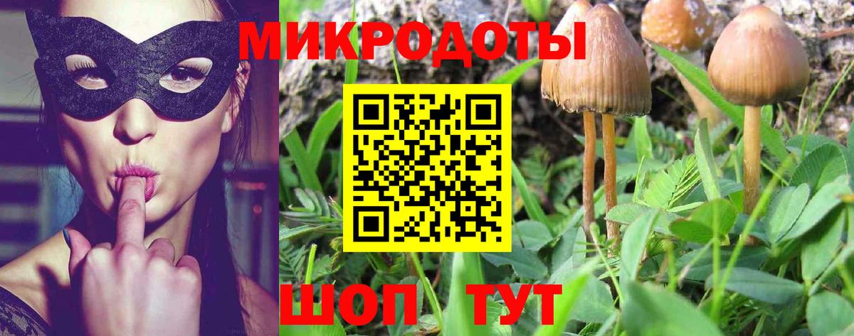 Псилоцибиновые грибы Magic Shrooms Кубинка