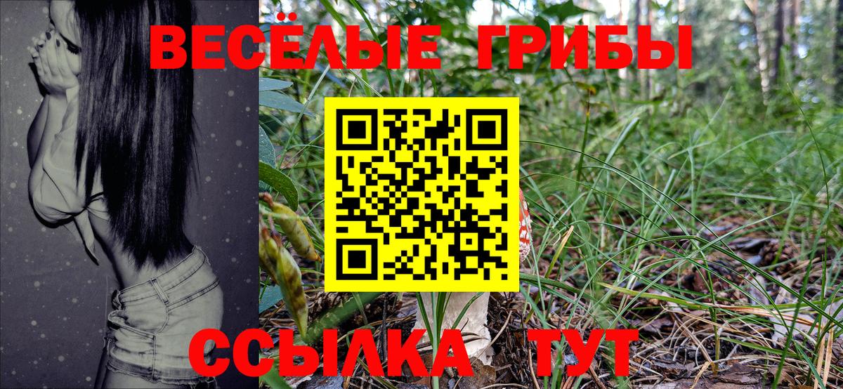 наркотики  Псилоцибиновые грибы MAGIC MUSHROOMS  Вход с VPN  Кубинка 